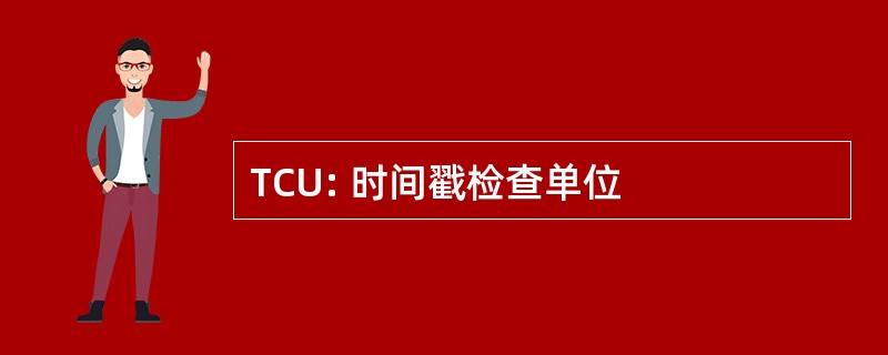 TCU: 时间戳检查单位