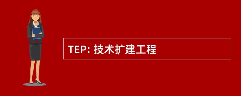 TEP: 技术扩建工程