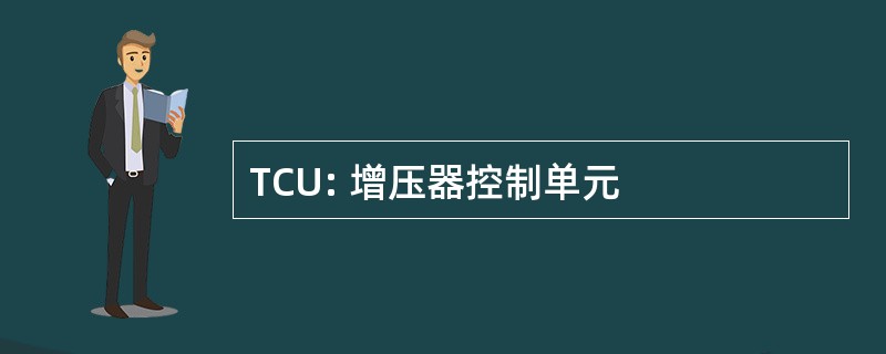 TCU: 增压器控制单元