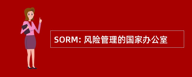 SORM: 风险管理的国家办公室