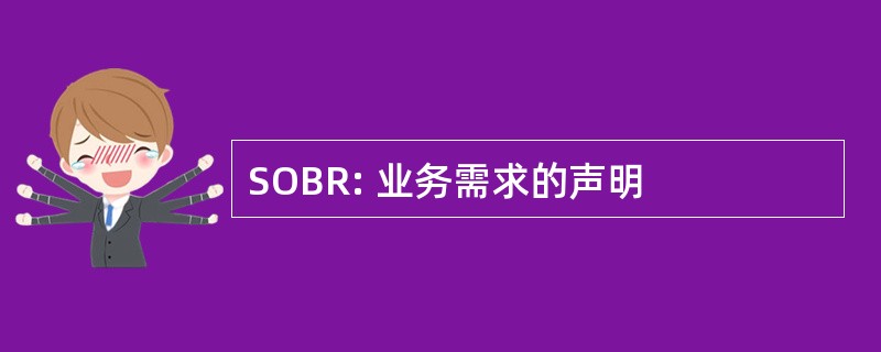 SOBR: 业务需求的声明