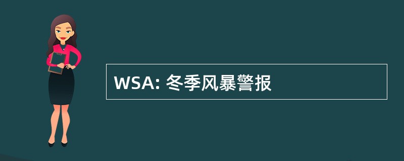 WSA: 冬季风暴警报