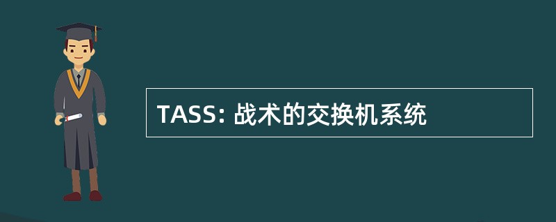 TASS: 战术的交换机系统