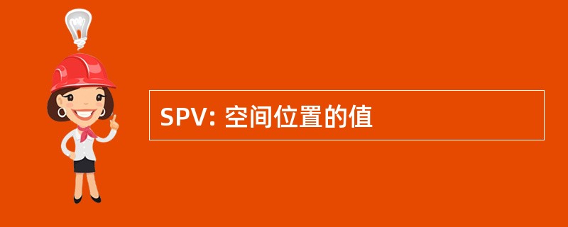 SPV: 空间位置的值