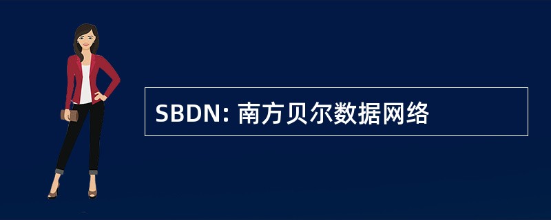 SBDN: 南方贝尔数据网络