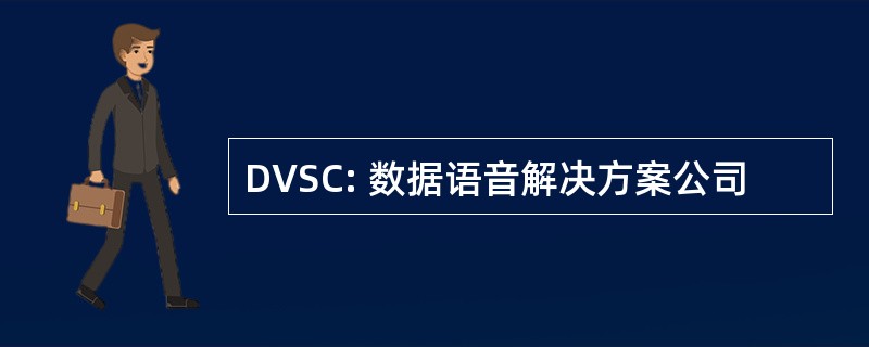 DVSC: 数据语音解决方案公司