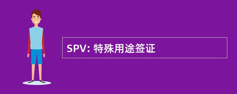 SPV: 特殊用途签证