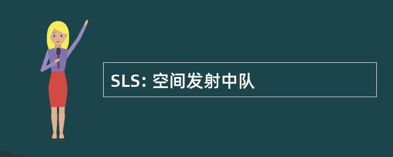 SLS: 空间发射中队