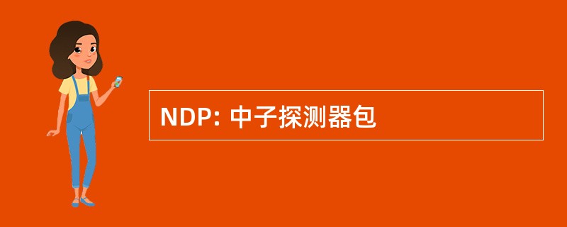 NDP: 中子探测器包