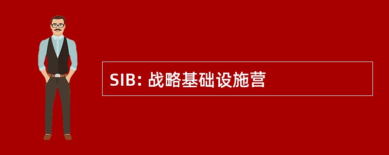 SIB: 战略基础设施营