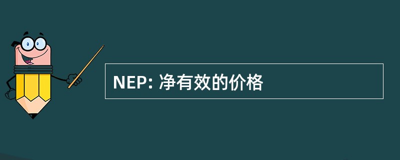 NEP: 净有效的价格