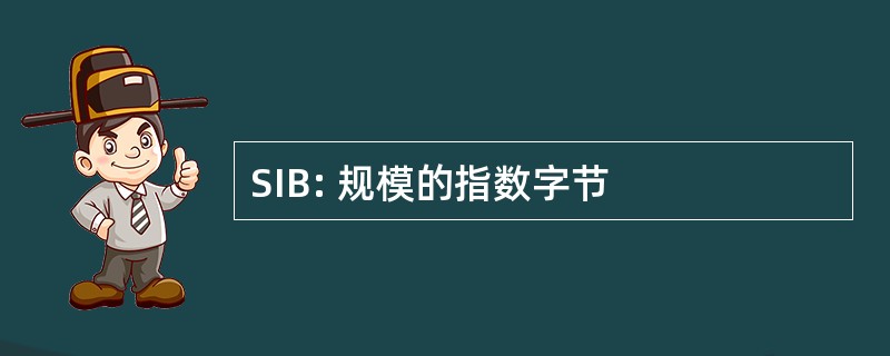 SIB: 规模的指数字节