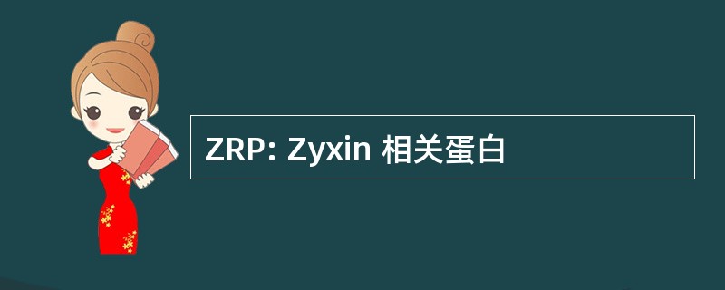 ZRP: Zyxin 相关蛋白