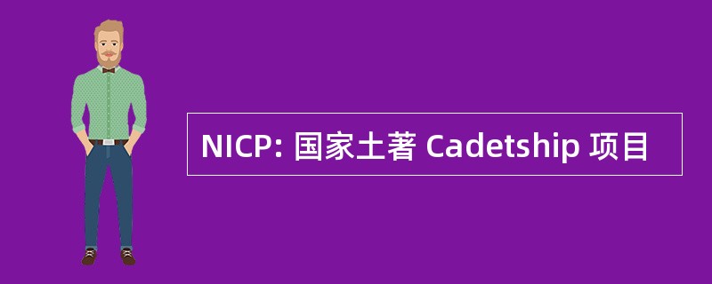 NICP: 国家土著 Cadetship 项目