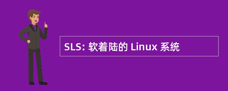 SLS: 软着陆的 Linux 系统