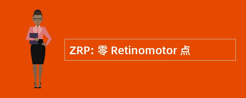 ZRP: 零 Retinomotor 点