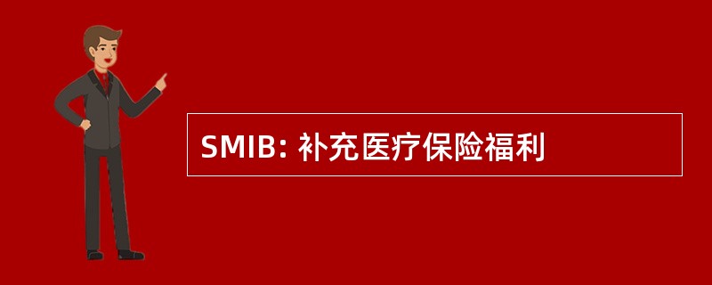 SMIB: 补充医疗保险福利