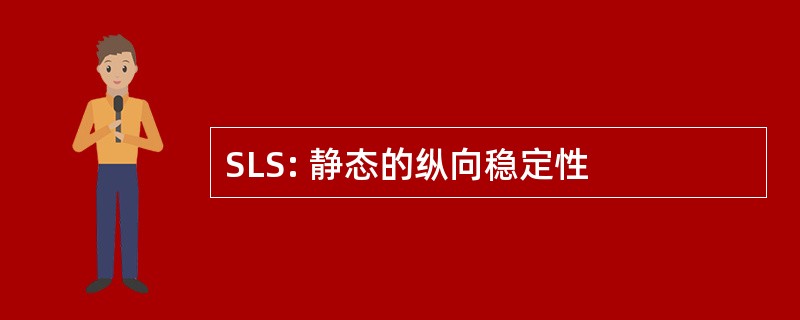 SLS: 静态的纵向稳定性