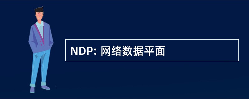 NDP: 网络数据平面