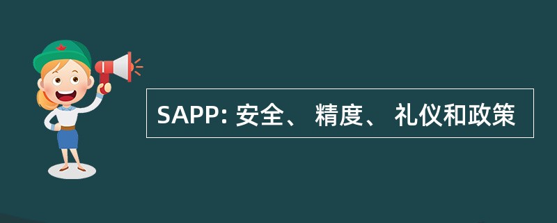 SAPP: 安全、 精度、 礼仪和政策