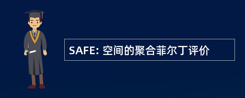 SAFE: 空间的聚合菲尔丁评价