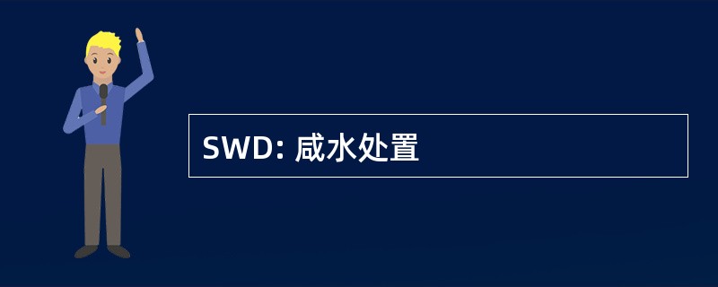 SWD: 咸水处置