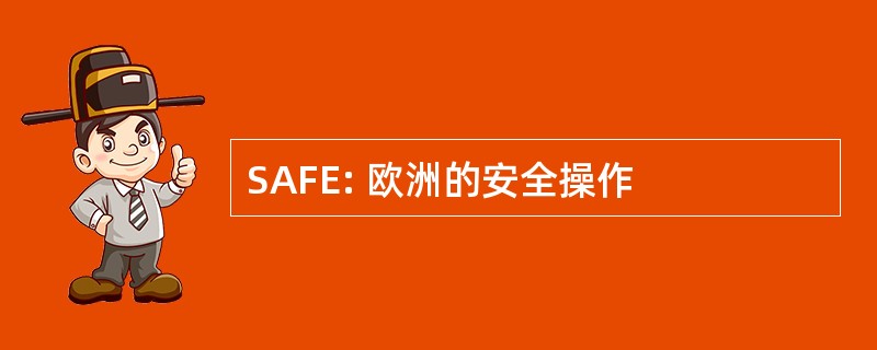 SAFE: 欧洲的安全操作