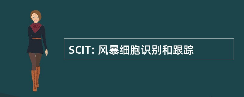 SCIT: 风暴细胞识别和跟踪