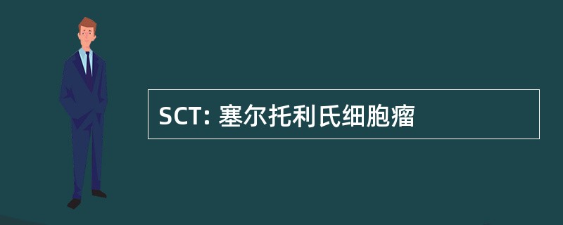 SCT: 塞尔托利氏细胞瘤