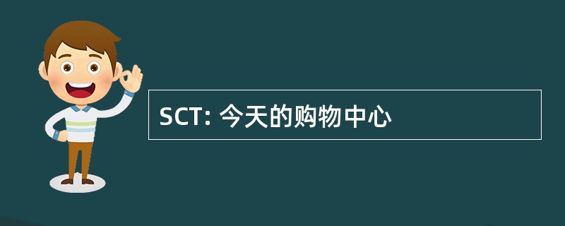 SCT: 今天的购物中心