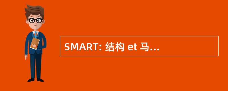 SMART: 结构 et 马尔凯）、 资源等个地区