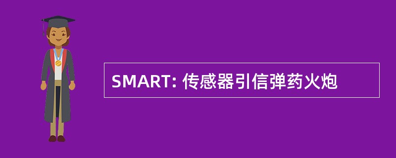 SMART: 传感器引信弹药火炮