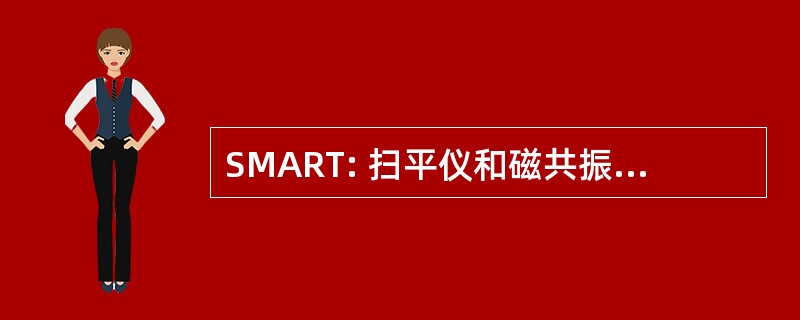 SMART: 扫平仪和磁共振检测仪转子与费尔托斯特