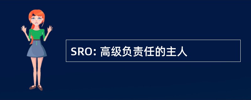 SRO: 高级负责任的主人