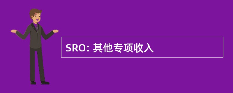 SRO: 其他专项收入