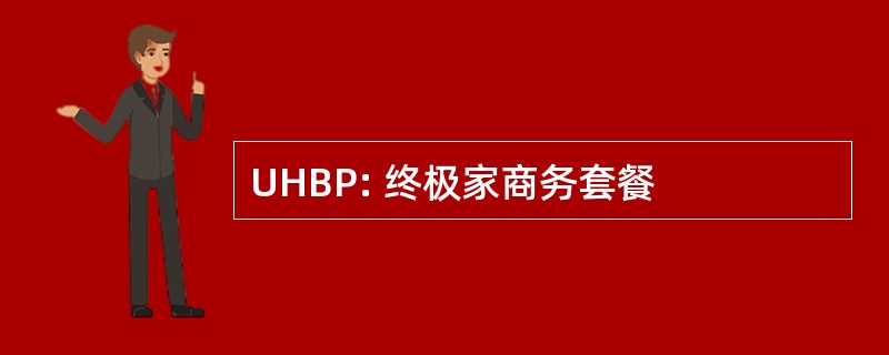 UHBP: 终极家商务套餐