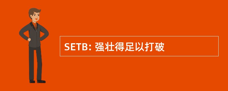 SETB: 强壮得足以打破