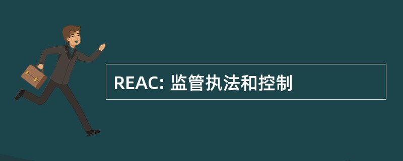 REAC: 监管执法和控制