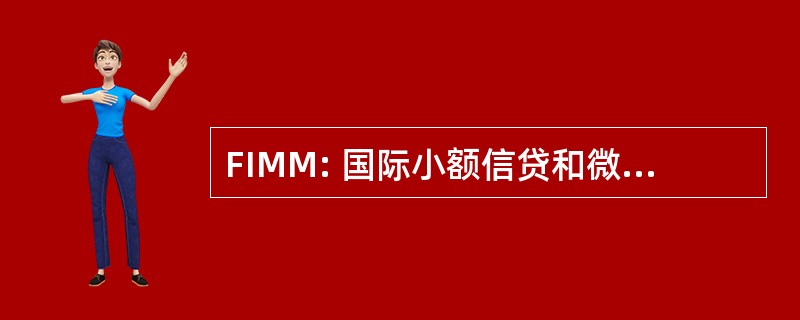 FIMM: 国际小额信贷和微型企业的研究金