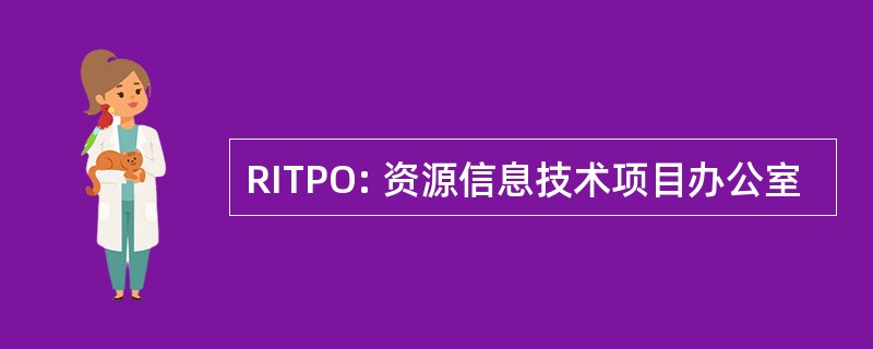 RITPO: 资源信息技术项目办公室