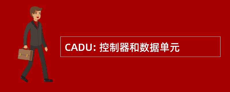 CADU: 控制器和数据单元