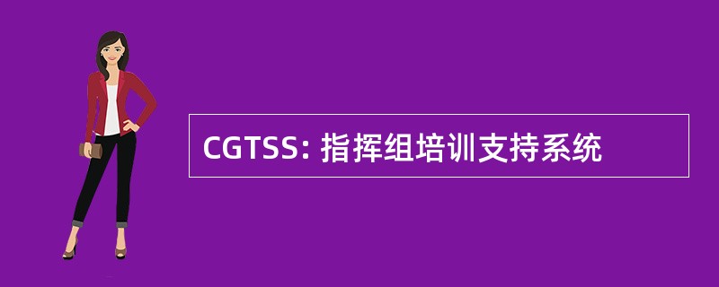 CGTSS: 指挥组培训支持系统