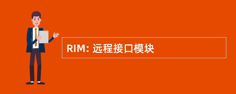 RIM: 远程接口模块