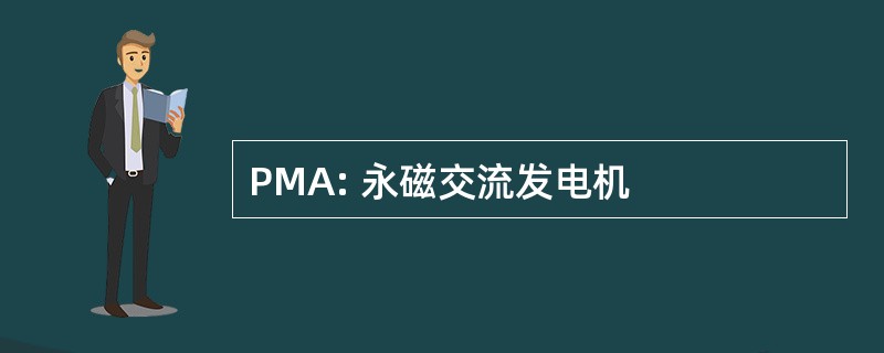 PMA: 永磁交流发电机