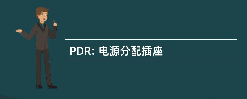 PDR: 电源分配插座