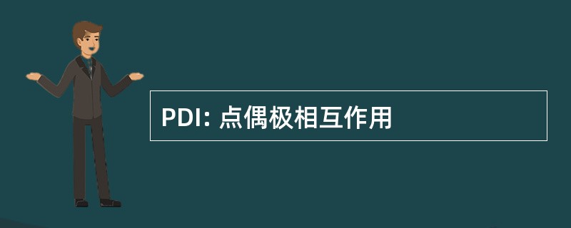 PDI: 点偶极相互作用