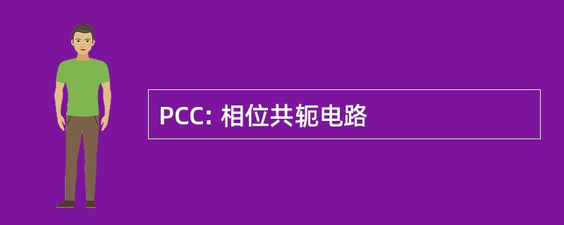 PCC: 相位共轭电路