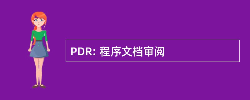 PDR: 程序文档审阅