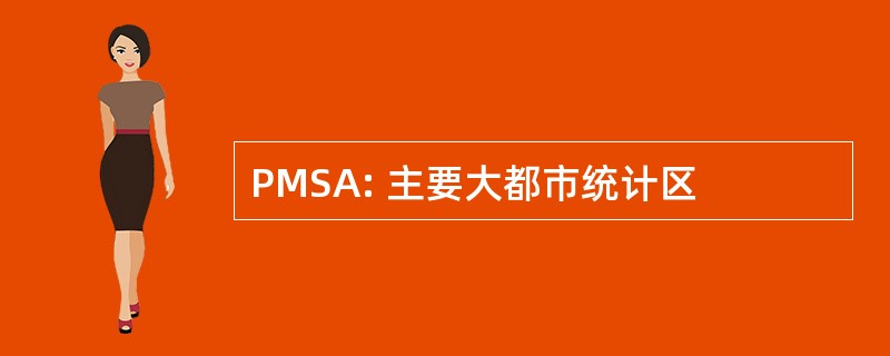 PMSA: 主要大都市统计区