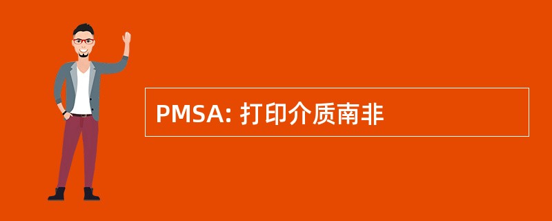 PMSA: 打印介质南非